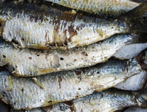 Lunga vita alle sardine