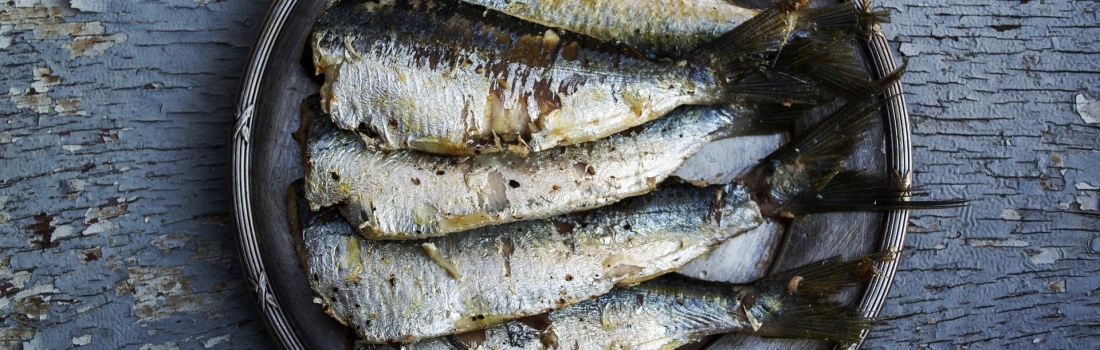 Marianna Borriello - Nutrizionista e Fitoterapista - Lunga vita alle sardine