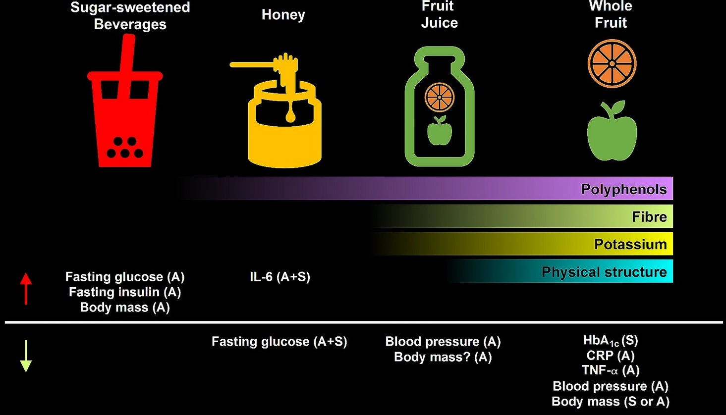 Figure 6 Are all sugars equal Tutti gli zuccheri sono uguali?