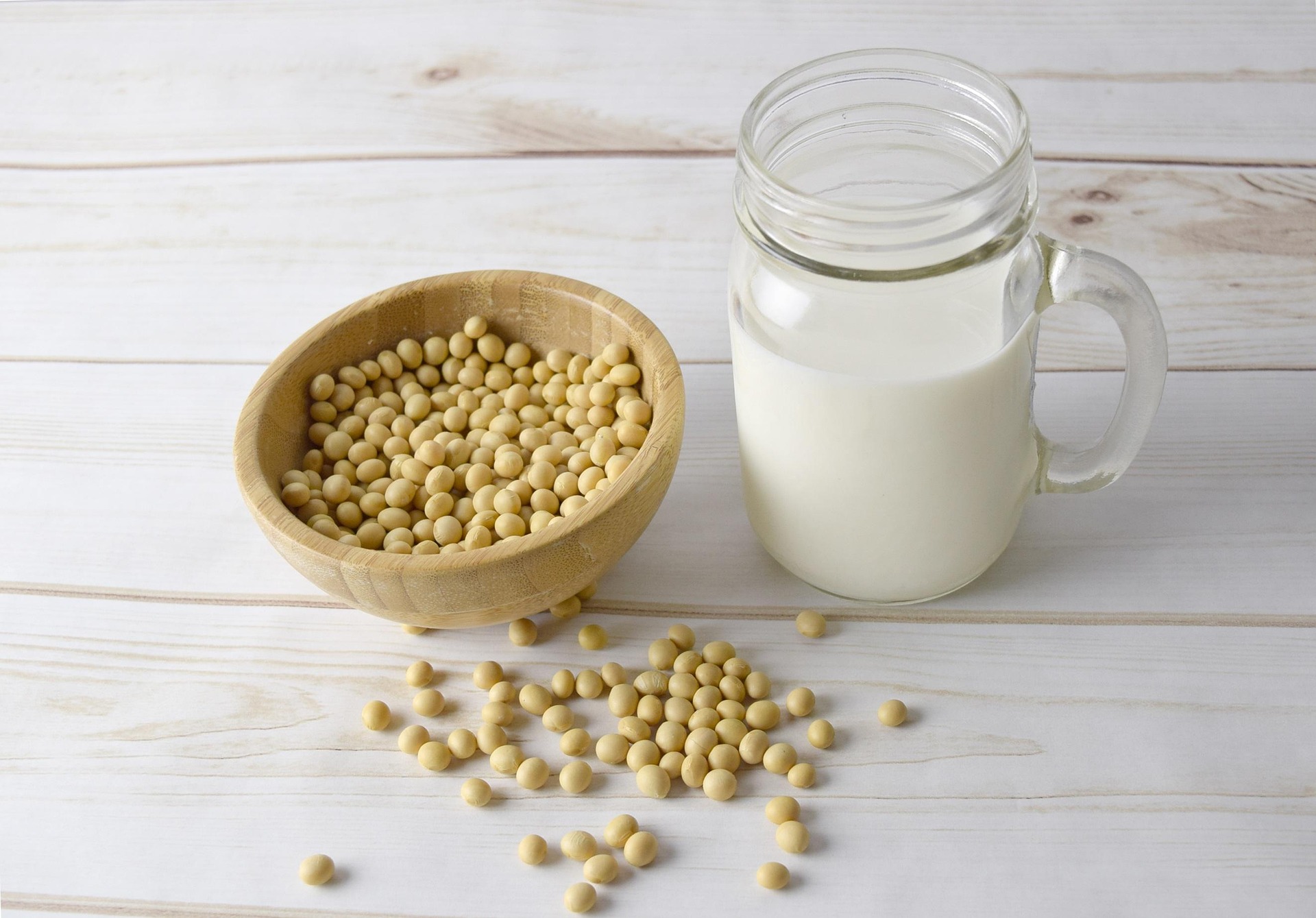 bigfatcat soy milk 2263942 1920 Tumore al Seno: Soia si o Soia no?